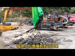 Tesouras de bico de águia